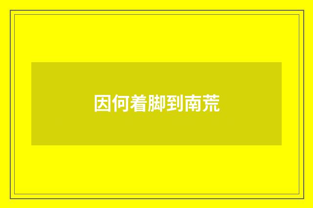 因何着脚到南荒