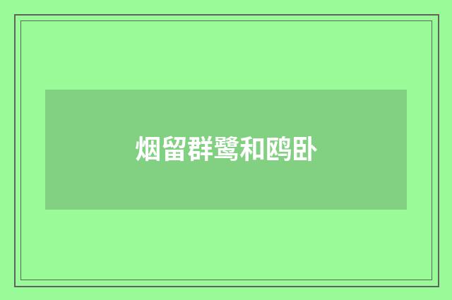 烟留群鹭和鸥卧