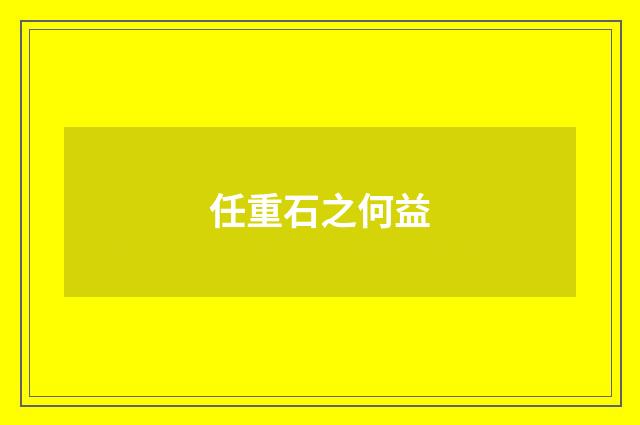 任重石之何益