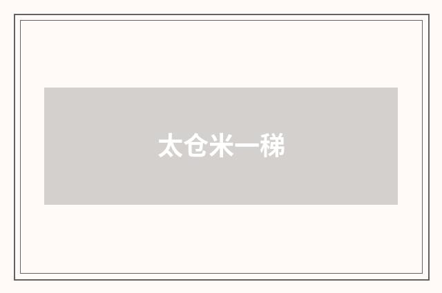 太仓米一稊