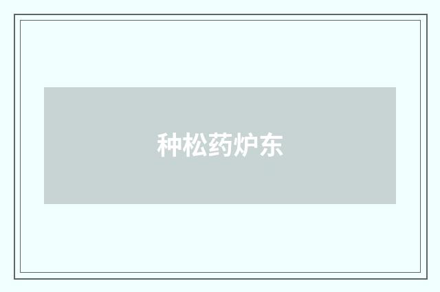 种松药炉东