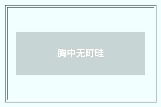 胸中无町畦