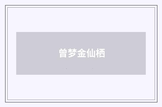 曾梦金仙栖