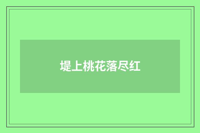 堤上桃花落尽红