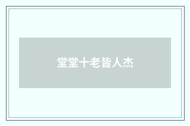 堂堂十老皆人杰