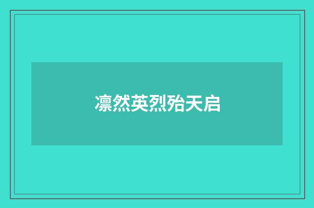 凛然英烈殆天启