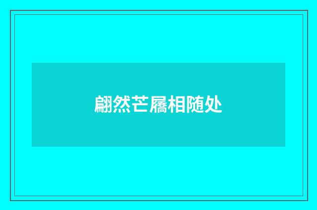 翩然芒屩相随处