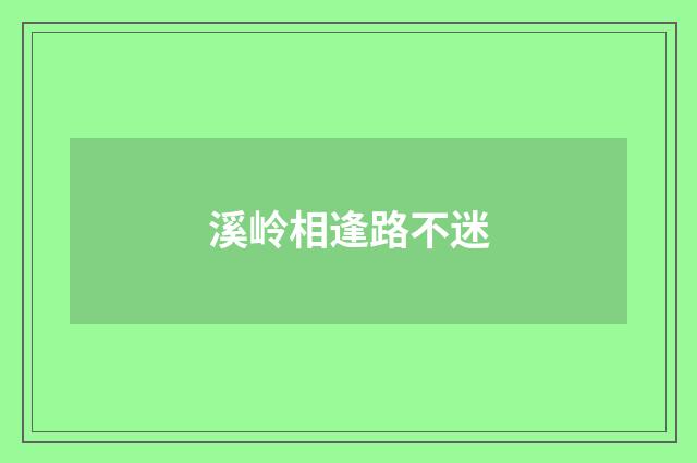 溪岭相逢路不迷