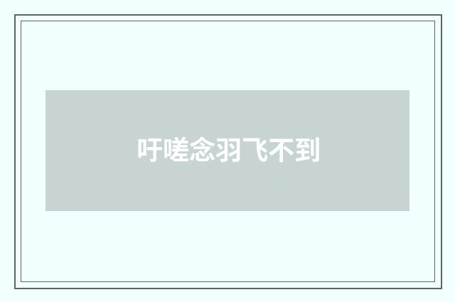 吁嗟念羽飞不到