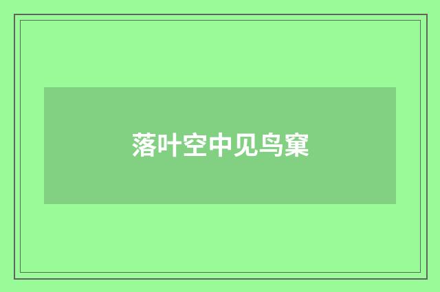 落叶空中见鸟窠