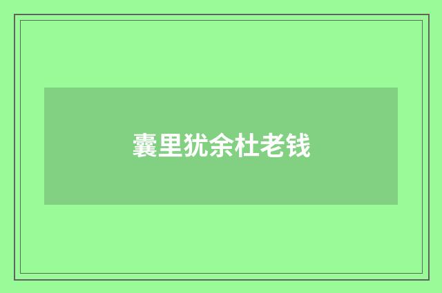 囊里犹余杜老钱