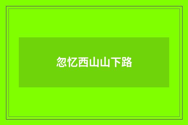 忽忆西山山下路
