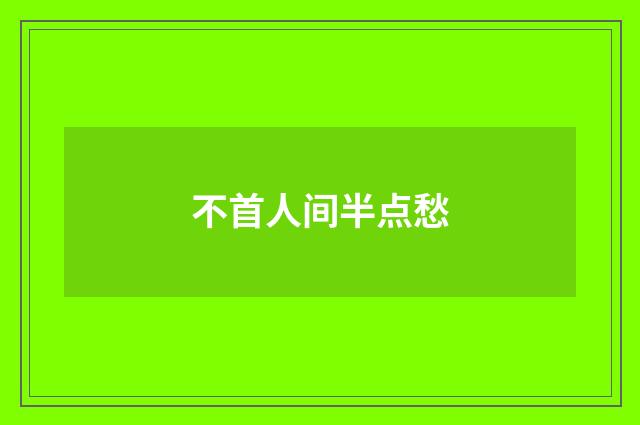 不首人间半点愁