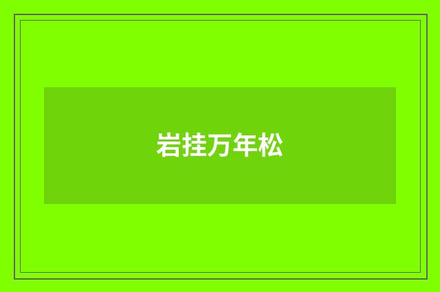 岩挂万年松