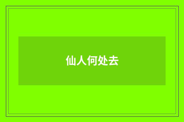 仙人何处去