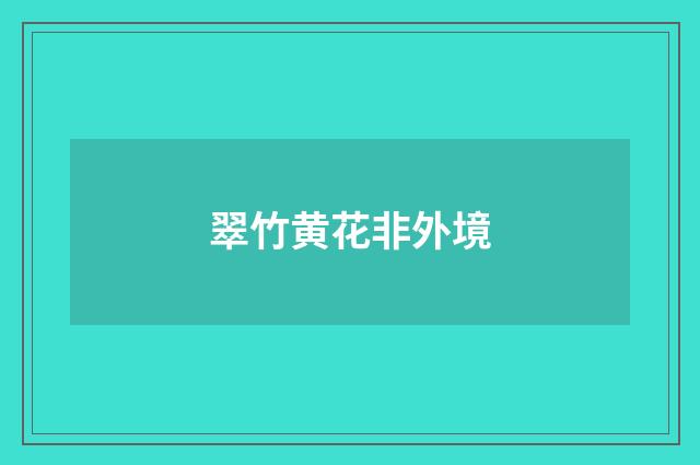 翠竹黄花非外境