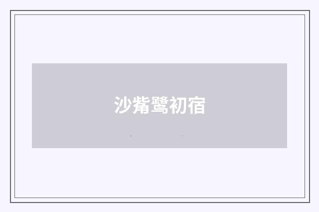 沙觜鹭初宿