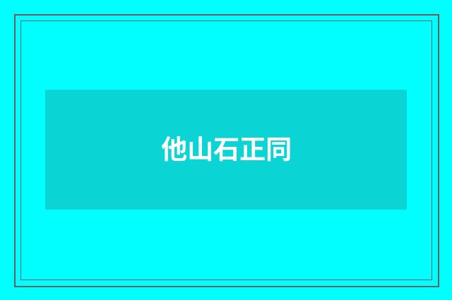 他山石正同