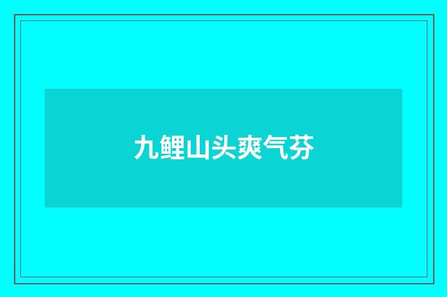 九鲤山头爽气芬