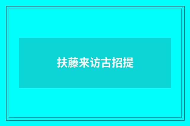 扶藤来访古招提