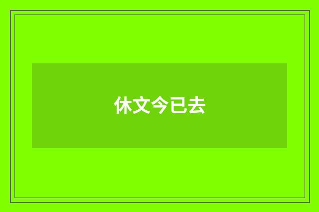 休文今已去