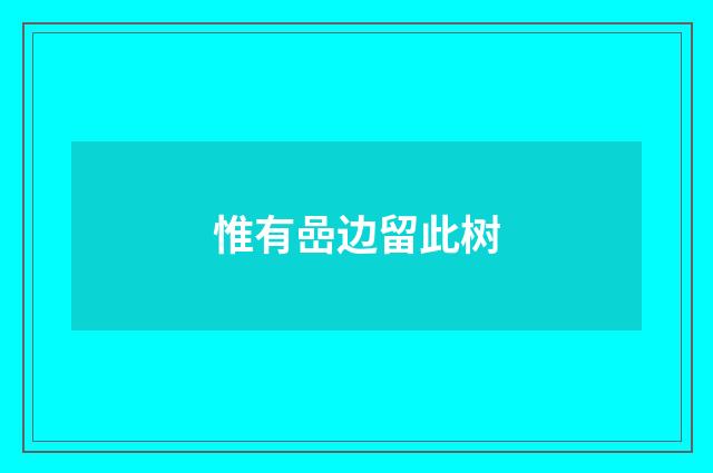 惟有嵒边留此树
