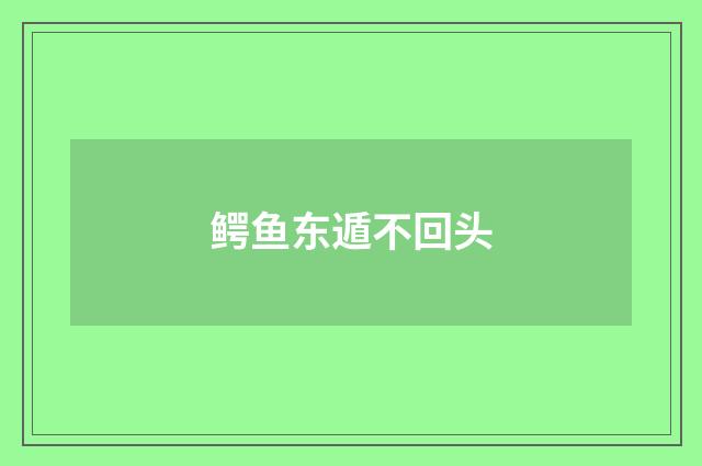 鳄鱼东遁不回头