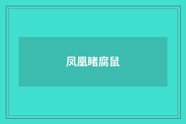 凤凰睹腐鼠