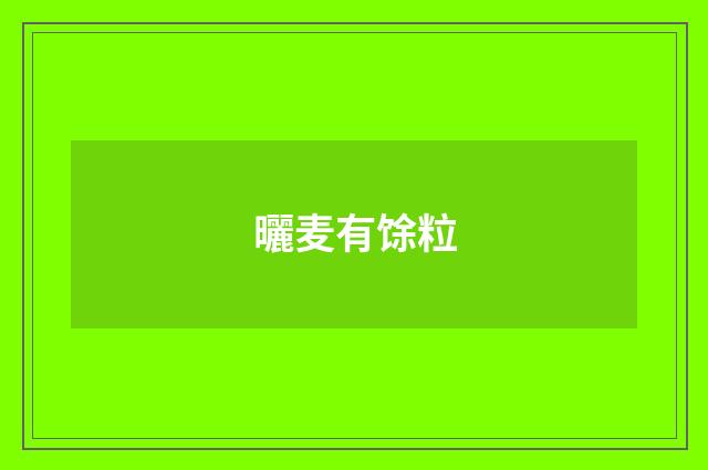 曬麦有馀粒