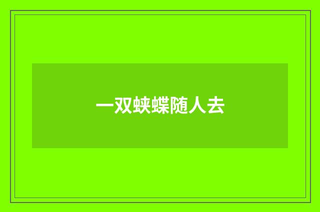 一双蛱蝶随人去