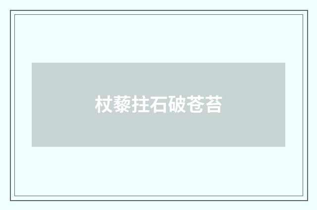 杖藜拄石破苍苔