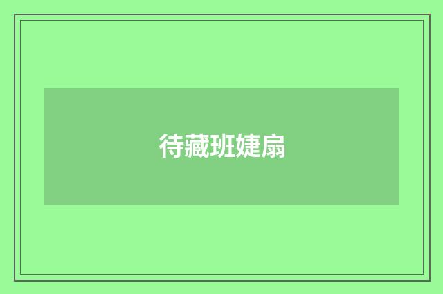 待藏班婕扇