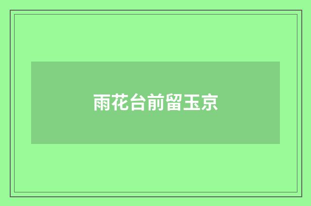 雨花台前留玉京