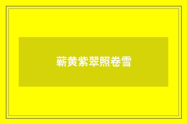 蕲黄紫翠照卷雪