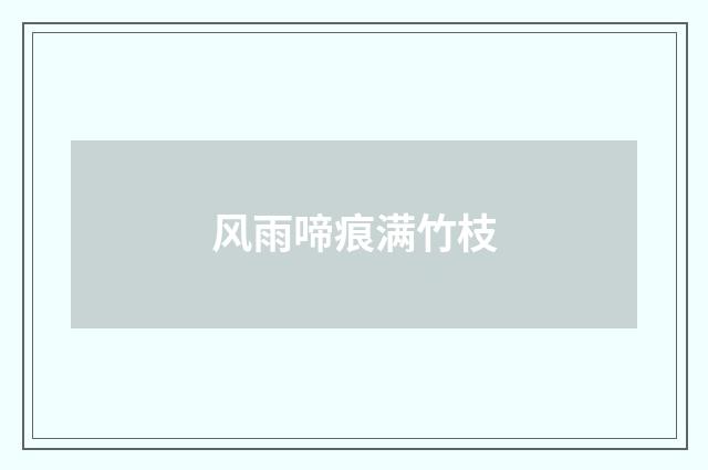 风雨啼痕满竹枝
