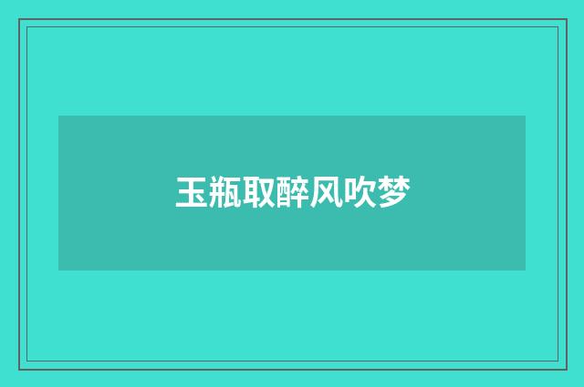 玉瓶取醉风吹梦