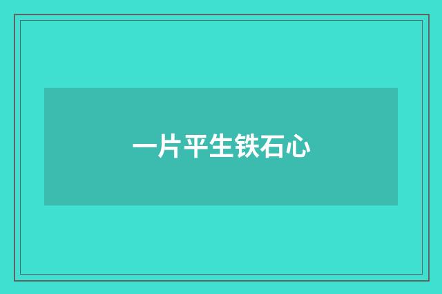 一片平生铁石心