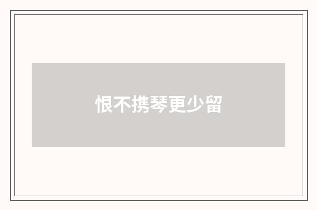 恨不携琴更少留