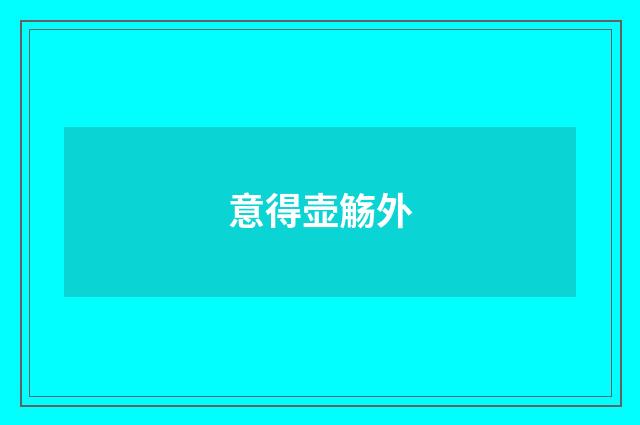 意得壶觞外