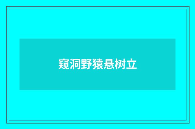 窥洞野猿悬树立