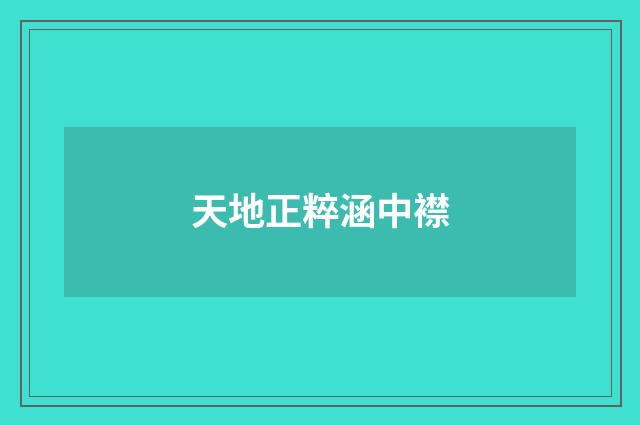 天地正粹涵中襟