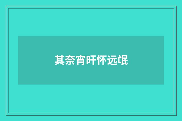 其奈宵旰怀远氓