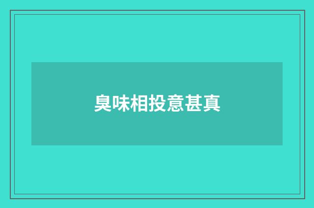 臭味相投意甚真