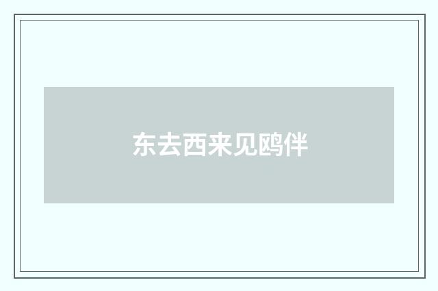 东去西来见鸥伴