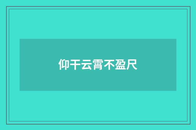仰干云霄不盈尺