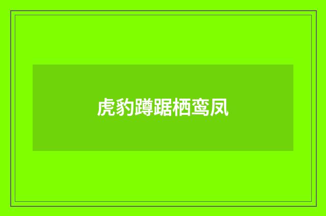 虎豹蹲踞栖鸾凤