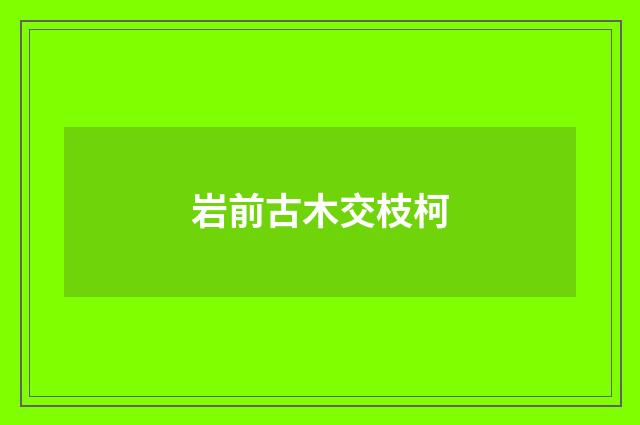 岩前古木交枝柯