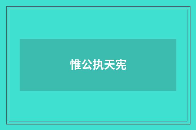 惟公执天宪