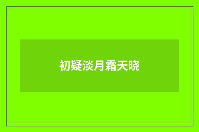 初疑淡月霜天晓