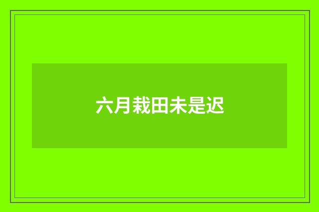 六月栽田未是迟